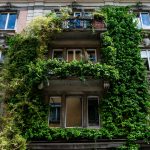 Optimale isolatie voor een energiezuinige tuin