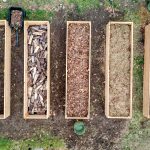 Wat zijn de voordelen van verhoogde moestuinbakken?