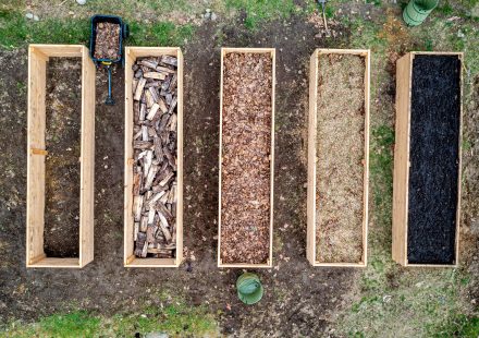Wat zijn de voordelen van verhoogde moestuinbakken?