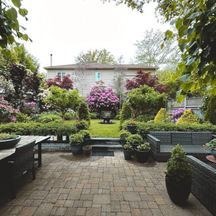 Achtertuin met bloemen, groen en tuinmeubilair